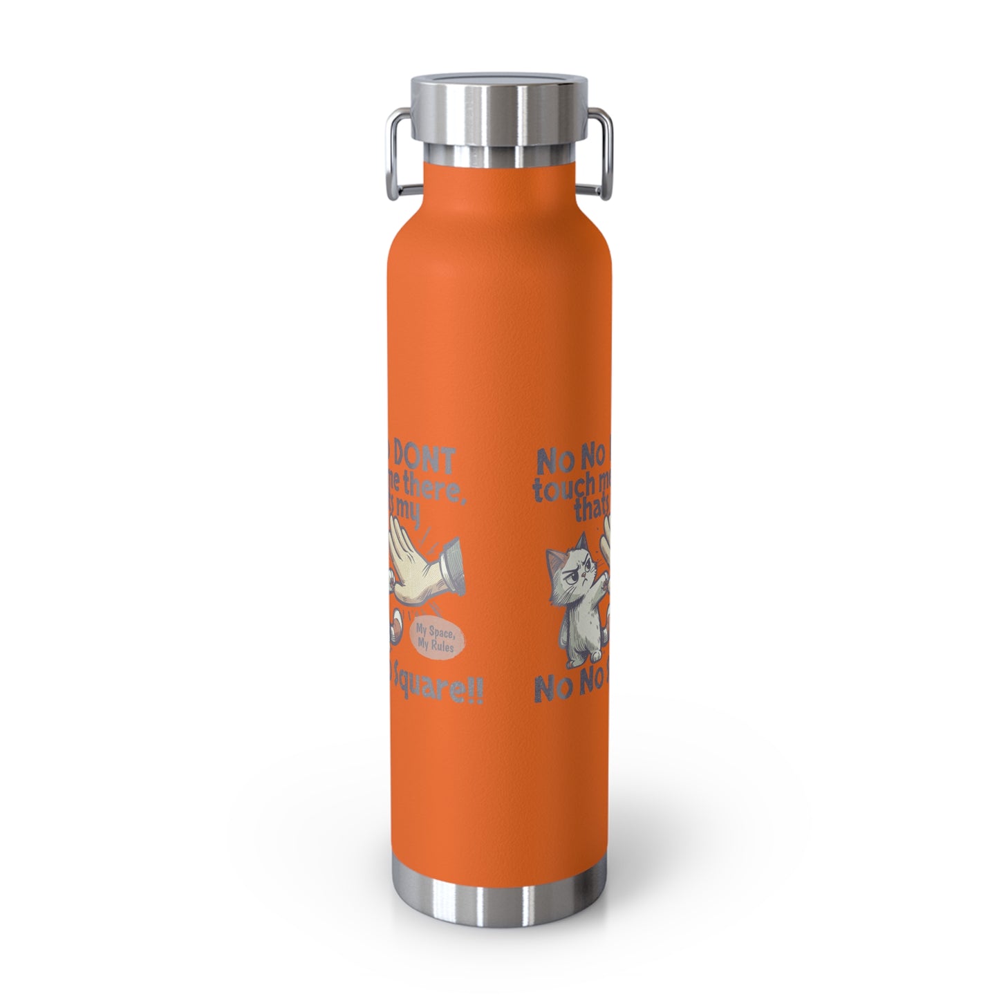 Funny Cat Insulated Water Bottle, 22oz, Laughing Cat Gift, Pet Lover Gift, Humorous Drinkware, Cat Safety Bottle