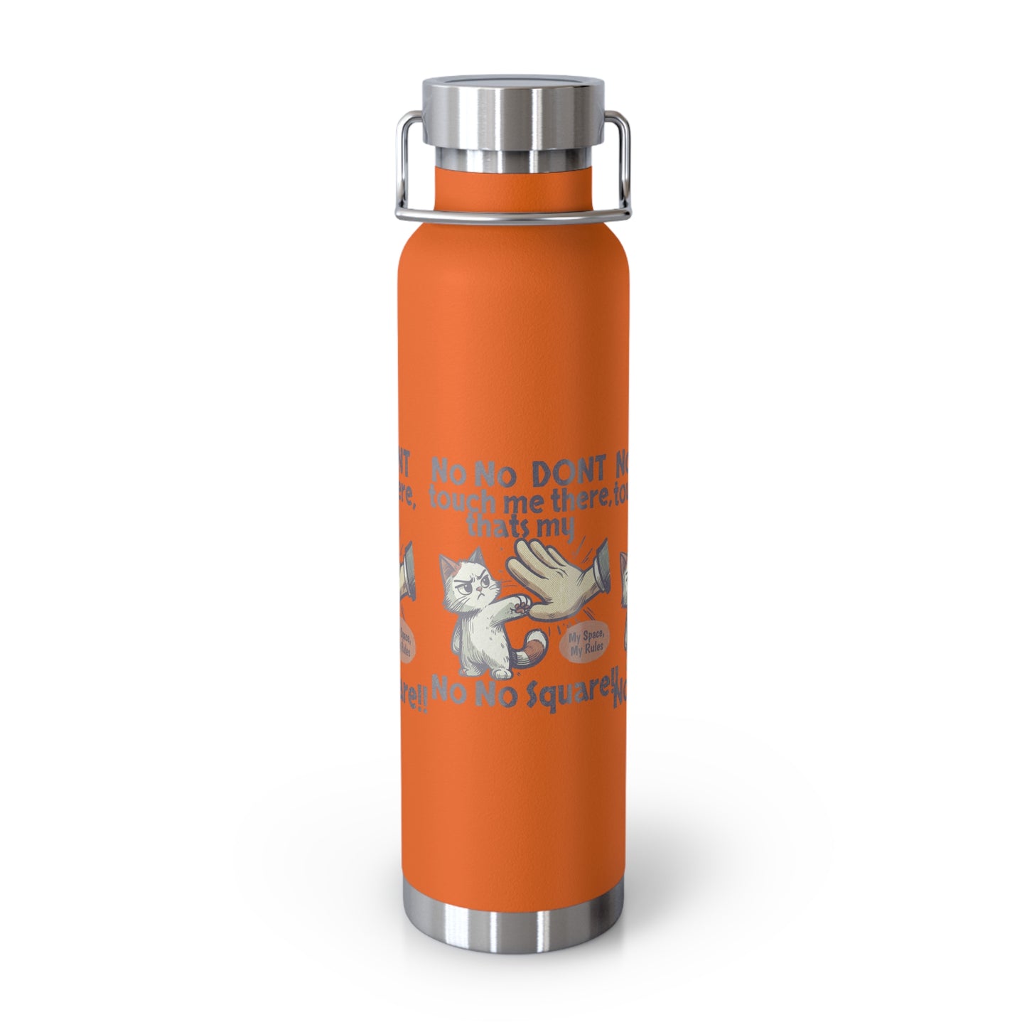 Funny Cat Insulated Water Bottle, 22oz, Laughing Cat Gift, Pet Lover Gift, Humorous Drinkware, Cat Safety Bottle